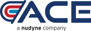 Logo featuring the word 'ACE' in bold blue letters with a stylized element before the text. Below, the phrase 'a nudynge company' is displayed in smaller font.